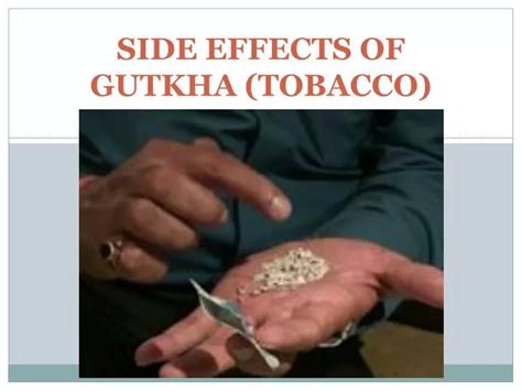 PPT - SIDE EFFECTS OF GUTKHA (TOBACCO) PowerPoint Presentation, free download - ID:1550951