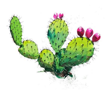 Prickly Pear Flower Drawing