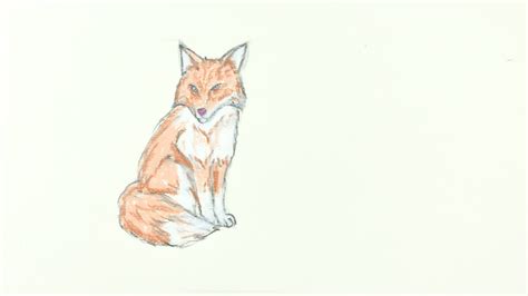 Fox simple drawing - pondarelo