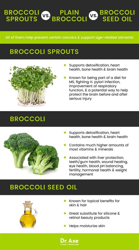 Broccoli Sprouts: One of Nature's Top Cancer-Fighting Foods - Dr. Axe