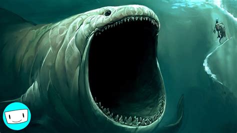 Largest Sea Creature