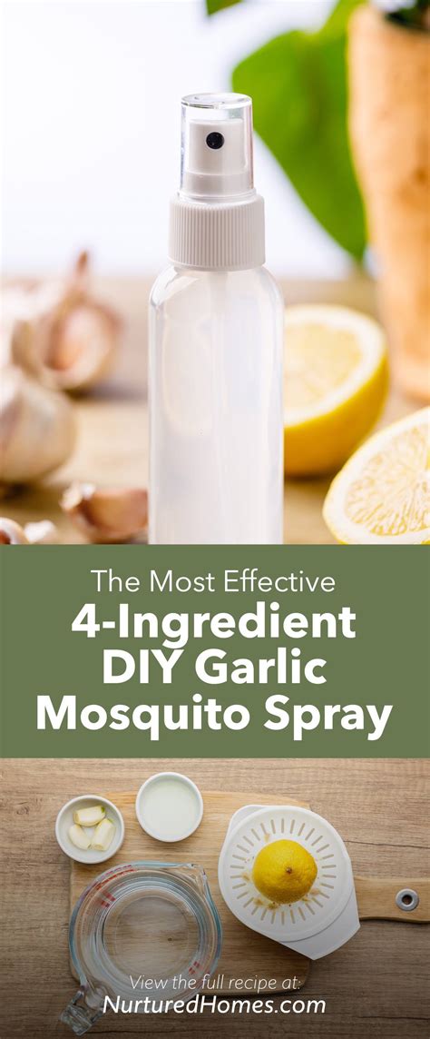 4-Ingredient Garlic Mosquito Spray (DIY Mosquito Repellent Recipe ...