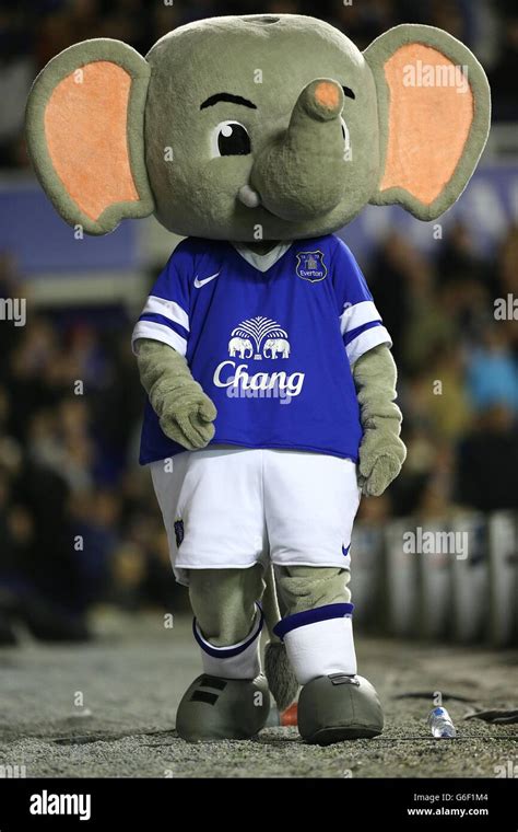 Everton team mascot hi-res stock photography and images - Alamy