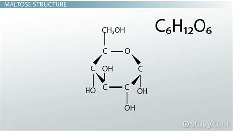 Maltose Definition, Structure & Function - Lesson | Study.com