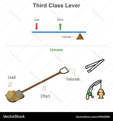 Examples Of Levers