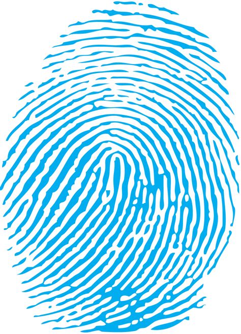 Fingerprint PNG Transparent Images | PNG All