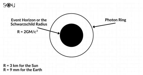 Remembering The Man Who Discovered The Existence Of Black Holes In Einstein's Equations.