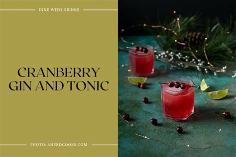 33 Winter Gin Cocktails to Warm Your Spirits This Season | DineWithDrinks