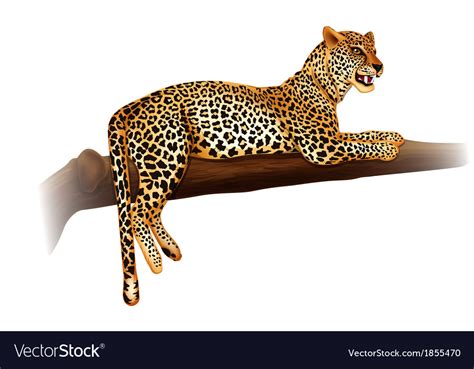 Cheetah Royalty Free Vector Image - VectorStock