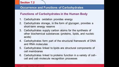 Carbohydrates Function