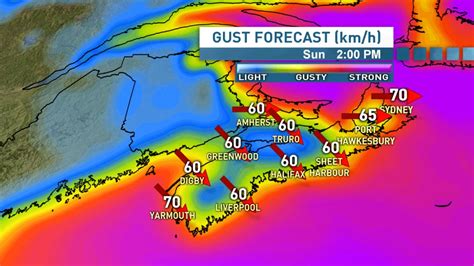 Nova Scotia sees record temperatures, but cooler weather on the way | CBC News