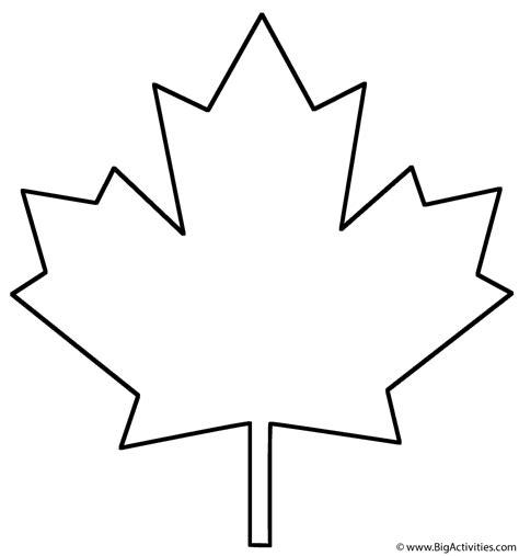 Maple Leaf - Coloring Page (Plants)