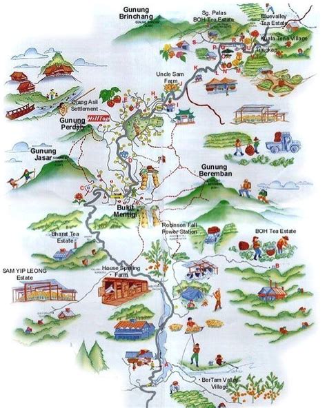 #cameronhighlands #maps #cameronhighlandamaps #visitcameronhighlands # ...