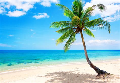 Tropical Beach Wallpapers