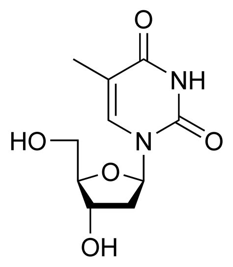 Nucleoside - wikidoc