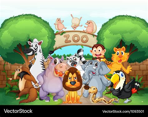 Zoo and animals Royalty Free Vector Image - VectorStock