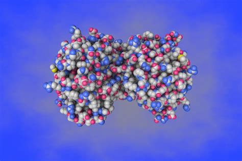 Conserved and Divergent Strigolactone Signaling in Saccharum Spontaneum. Space-filling Molecular ...