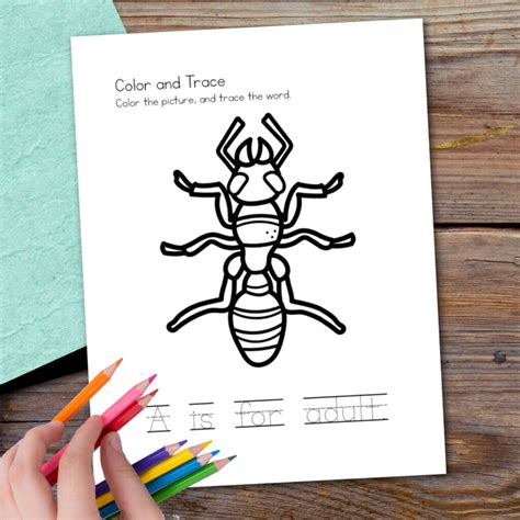 Printable Ant Life Cycle Worksheets