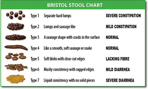 Bristol stool scale - Wikipedia