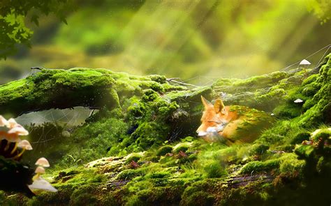 Fox Art Wallpapers - Wallpaper Cave