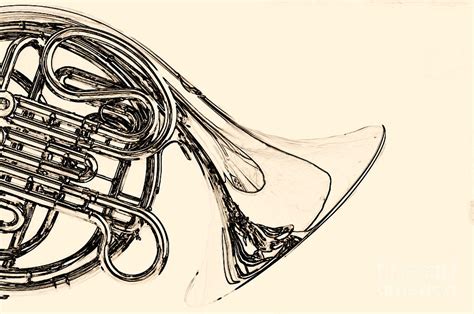 French Horn Drawing at GetDrawings | Free download