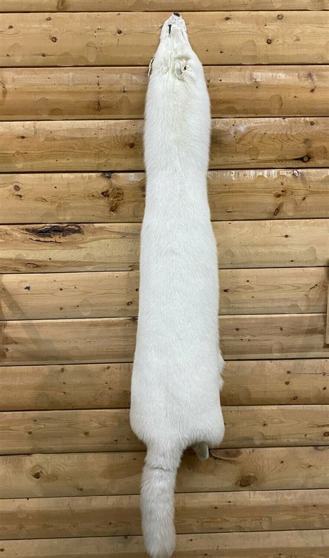 HUGE Polar Fox Fur