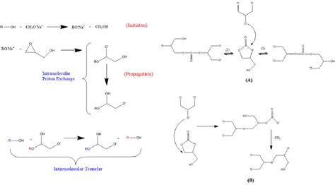 Mechanism of the anionic Polymerization of AB 2 -type monomer ...