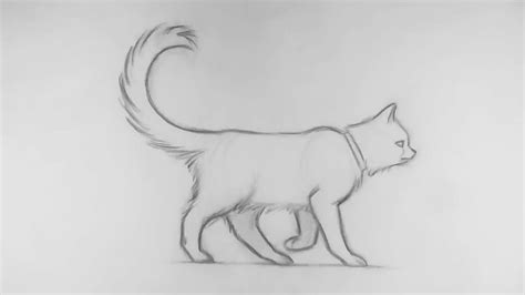 Cat Walking Animation