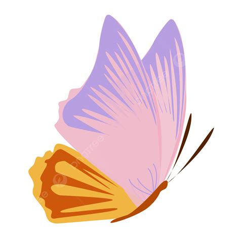 Vector Clip Art Of Beautiful Butterfly, Butterfly, Insect, Animal PNG ...