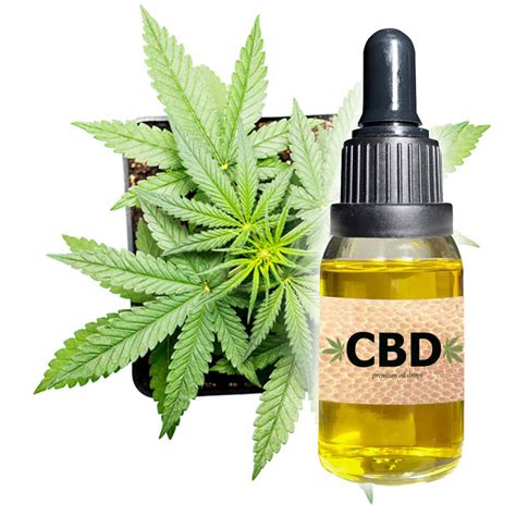 CBD PLAIN hemp oil, 0% THC, 97% CBD – Superb CBD