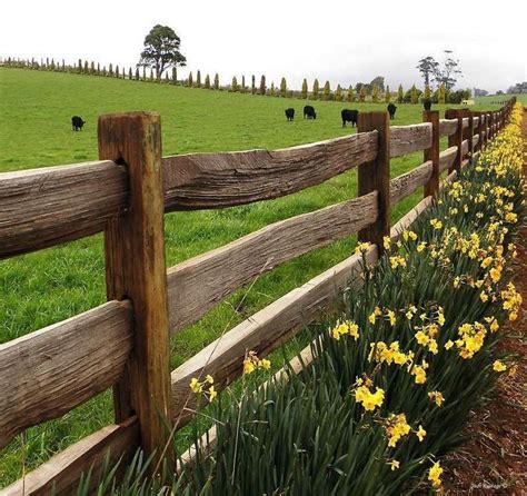 FENCE IDEAS 111 | Backyard fences, Country fences, Rustic fence