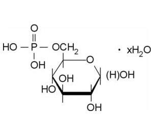 D-Glucose 6-phosphate solution | CAS 56-73-5 | SCBT - Santa Cruz Biotechnology