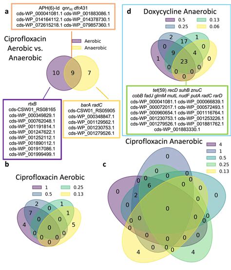 Distribution of AMR genes associated with AMR growth phenotypes at... | Download Scientific Diagram