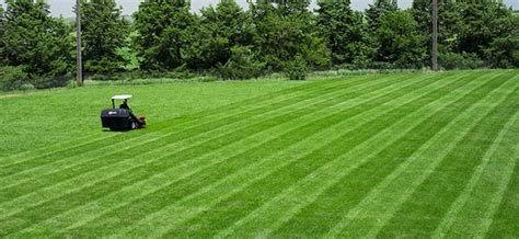 Lawn Striping: How to Mow Stripes and Patterns | Exmark Blog