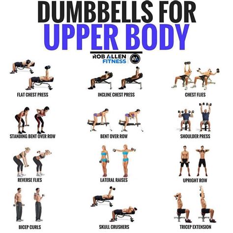 Simple Dumbbell Exercises For Arms And Back for Beginner | Fitness and ...