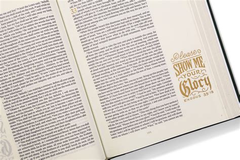 ESV Illuminated Bible- giveaway – One Ash Homestead