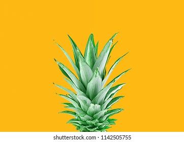 2,091 Pineapple Crown Images, Stock Photos & Vectors | Shutterstock