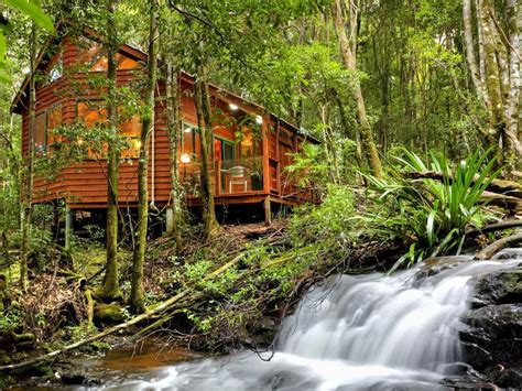 The Mouses House Rainforest Retreat, Gold Coast | Best Price Guarantee - Mobile Bookings & Live Chat