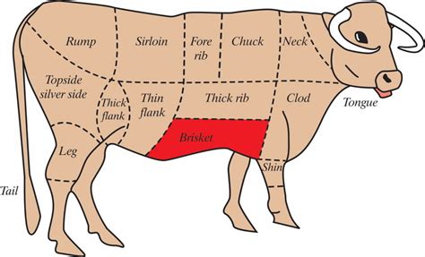 Diagram Of Beef Cuts On A Cow