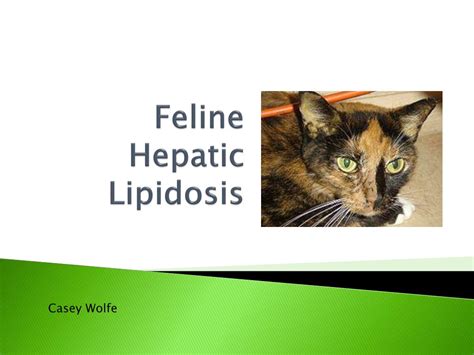 PPT - Feline Hepatic Lipidosis PowerPoint Presentation, free download ...