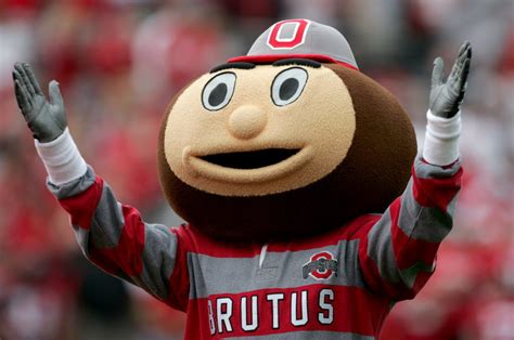 Brutus Buckeye Wallpaper - WallpaperSafari