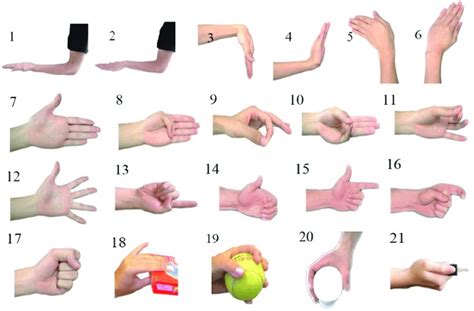 21 Forearm and hand movements. | Download Scientific Diagram