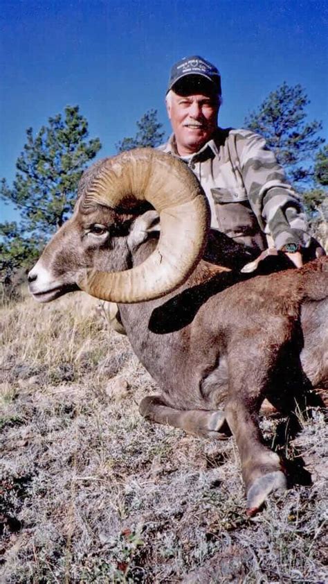 Bighorn Sheep Hunting Guides – Horn Fork Guides