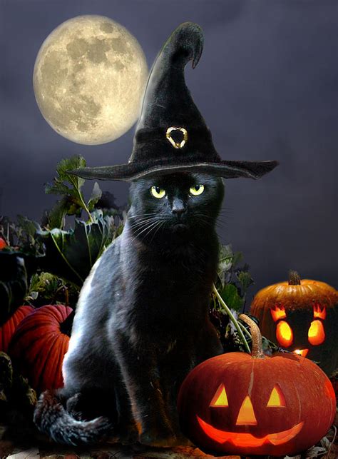 Witchy black Halloween Cat Painting by Regina Femrite - Pixels