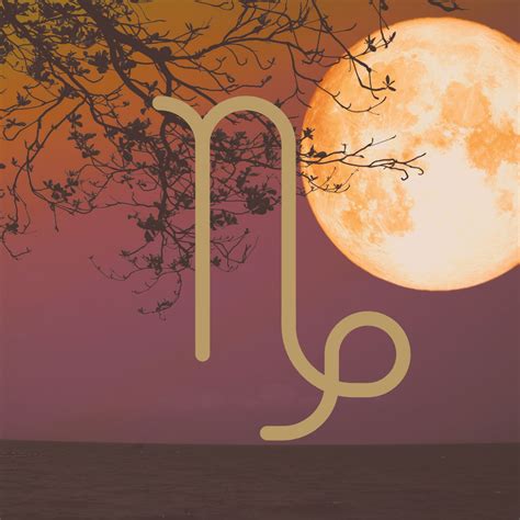 Full Moon in Capricorn Ritual Guide — Temple & The Moon