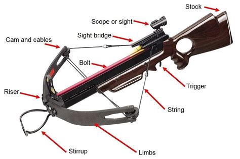 Compound Crossbow Parts