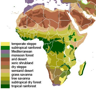 Grassland African Savanna Map - Pets Lovers