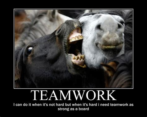 Funny Teamwork Quotes. QuotesGram