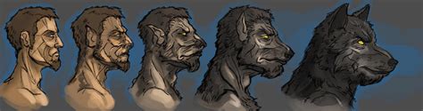 Werewolf transformation by Andy-Butnariu on DeviantArt