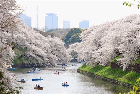 Tourist Attractions Ueno Park - Tokyo | Loveliest Places